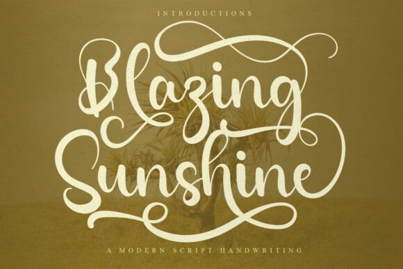 Blazing Sunshine: The Human Touch for Modern Design