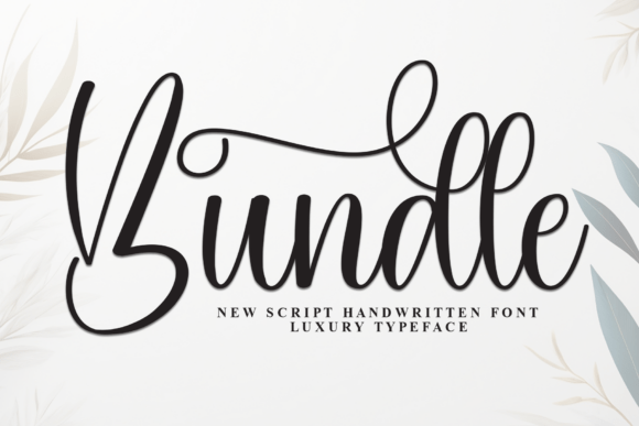 Bundle: A Script Font for Modern Elegance