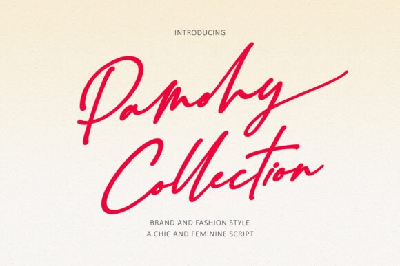 Discover Pamohy Collection: The Elegant Script Font