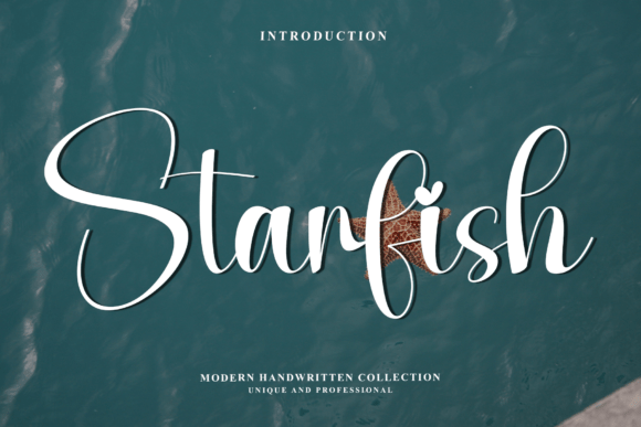 The Elegant Flow of the Starfish Script Font